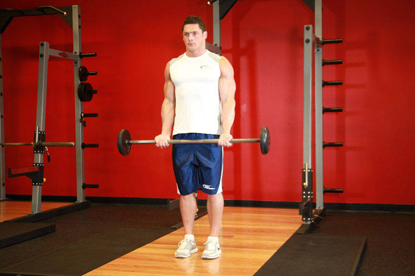 Barbell Curl - Start position