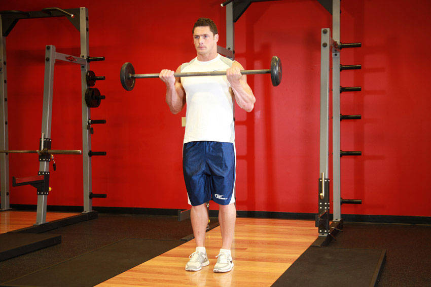 Barbell Curl - Finish position