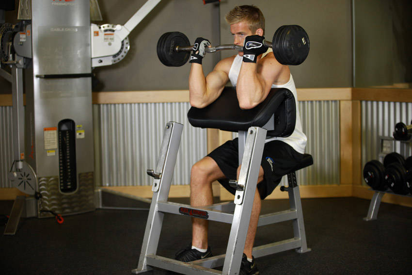 Preacher Curl - Finish position