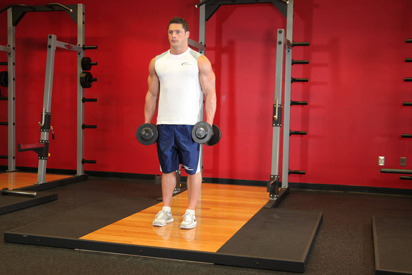 Dumbbell Curl - Start position