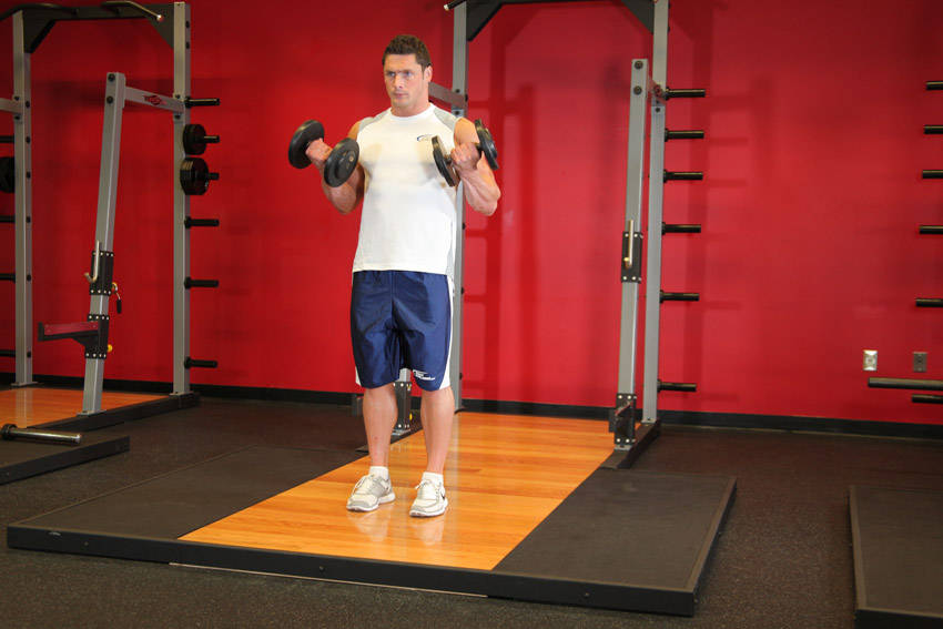 Dumbbell Curl - Finish position