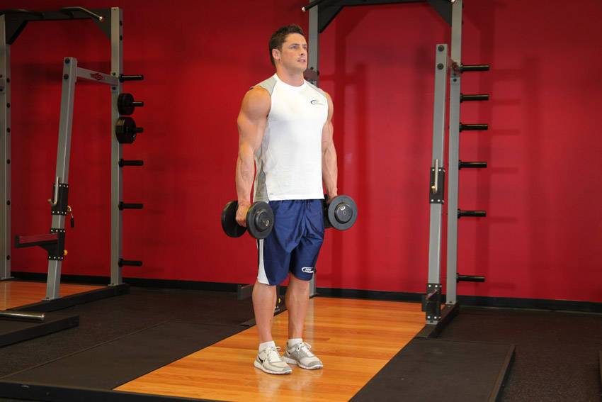Hammer Curls - Start position