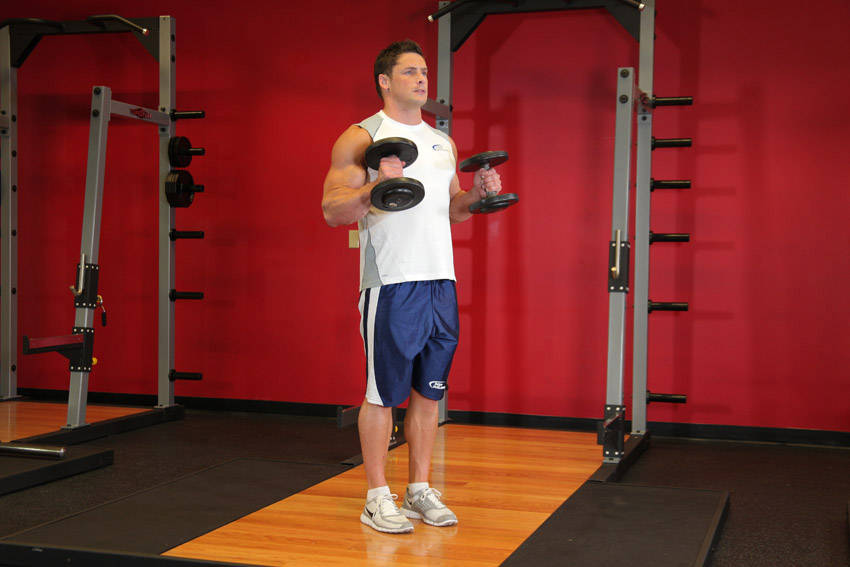 Hammer Curls - Finish position