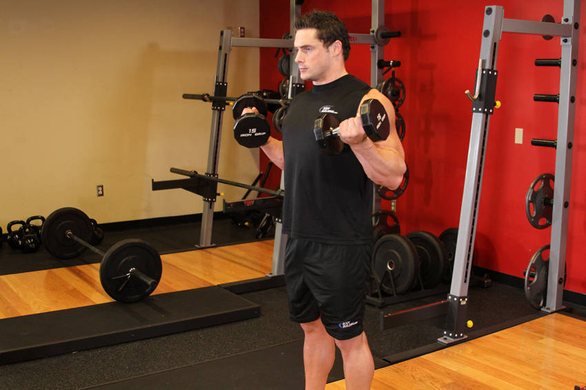 Zottman Curl - Finish position