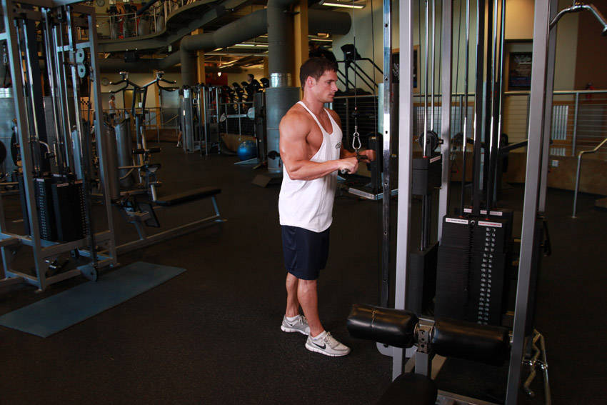 Triceps Pushdown - Start position