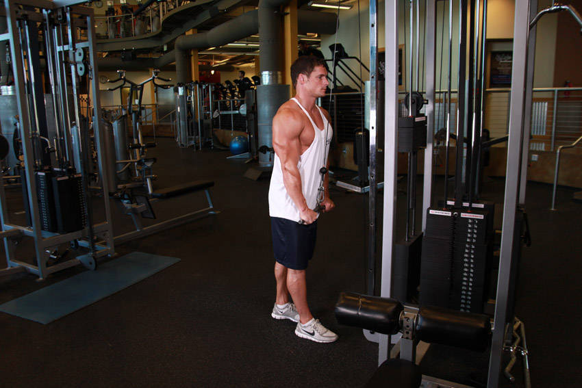 Triceps Pushdown - Finish position