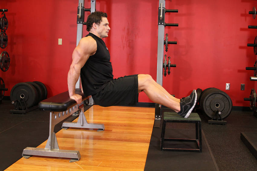 Bench Dips - Start position