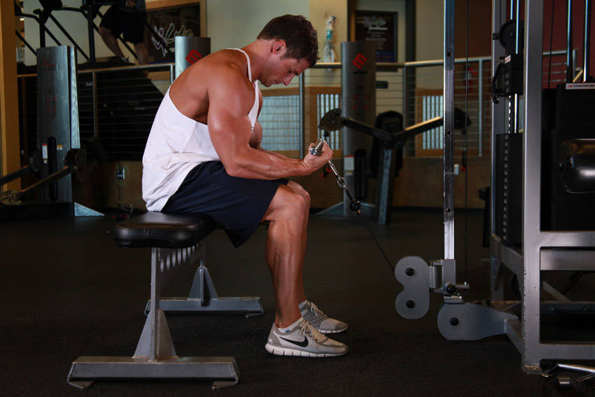 Cable Wrist Curl - Finish position