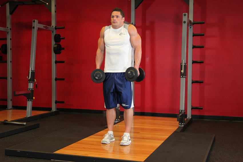 Dumbbell Shrugs - Finish position