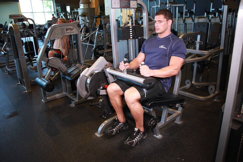 Seated Leg Curl - Finish position