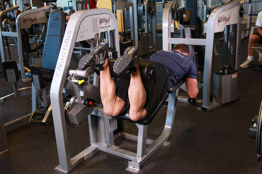 Lying Leg Curl - Finish position