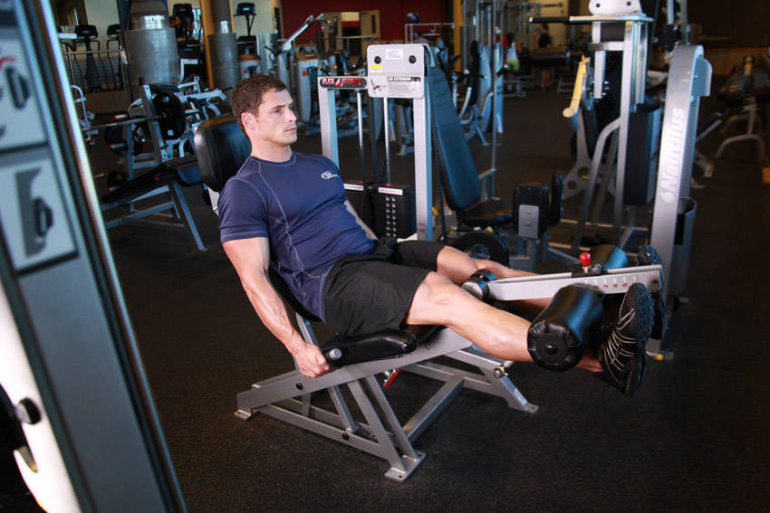 Leg Extension - Finish position