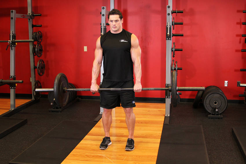 Romanian Deadlift - Finish position