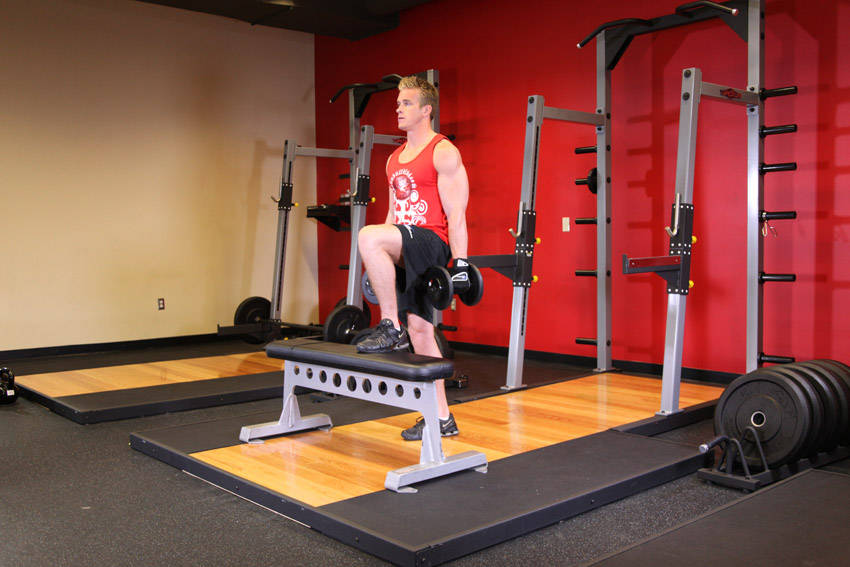 Dumbbell Step-Ups - Finish position