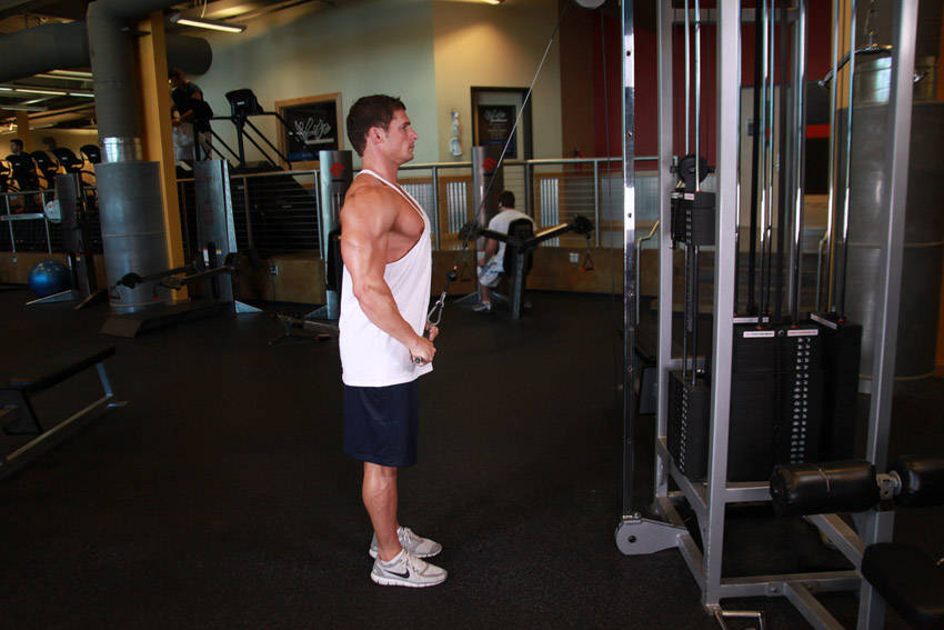 Straight-Arm Pulldown - Finish position
