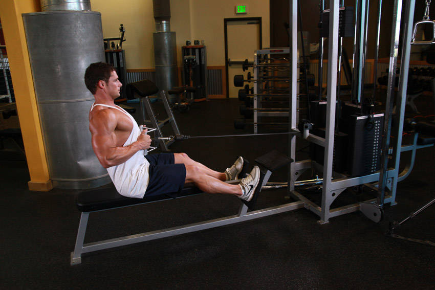 Seated Cable Row - Finish position