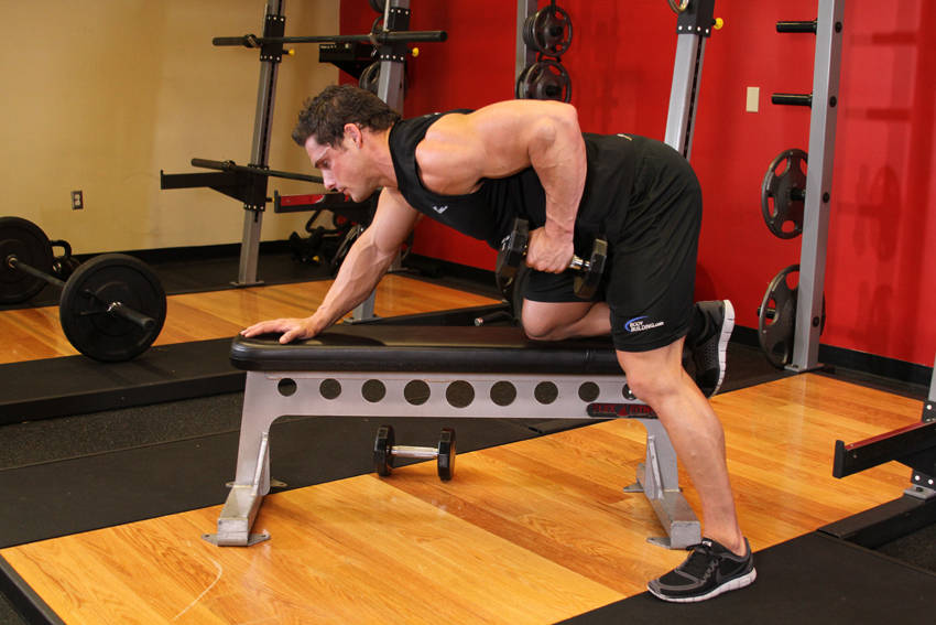 Dumbbell Row - Finish position