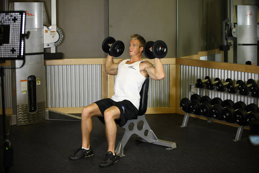 Seated Dumbbell Press - Start position