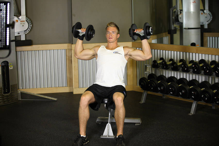 Seated Dumbbell Press - Finish position