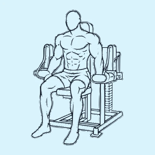Machine Lateral Raise - Start position