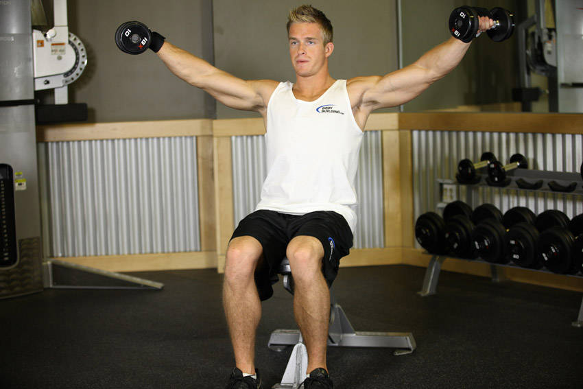 Seated Lateral Raises - Finish position