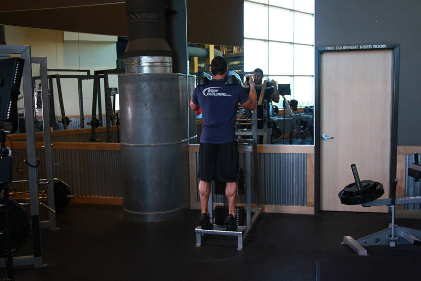 Standing Calf Raises - Finish position