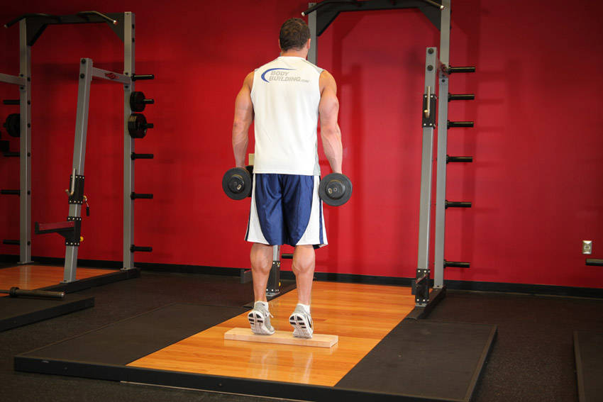 Dumbbell Calf Raises - Finish position