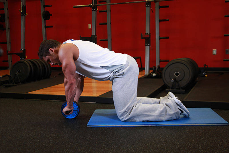 Ab Wheel Rollout - Start position