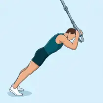 TRX Triceps Extension