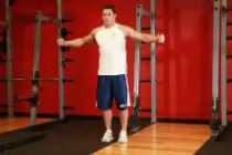 Band Chest Fly