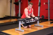 Barbell Wrist Curl