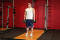 Dumbbell Shrugs