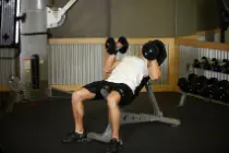 Bench