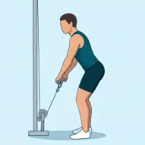 Cable Bent-Over Row