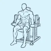 Machine Lateral Raise