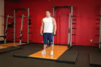 Plate Lateral Raise