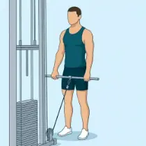 Cable Upright Row
