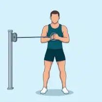 Cable Pallof Press