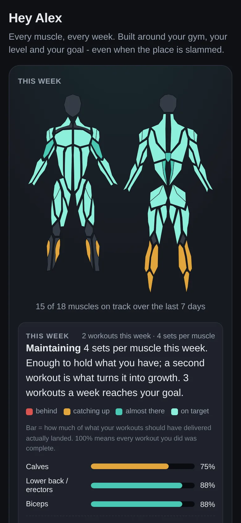 Body silhouettes coloured by how much of each muscle groupās weekly target has been trained, with a per-muscle list underneath.