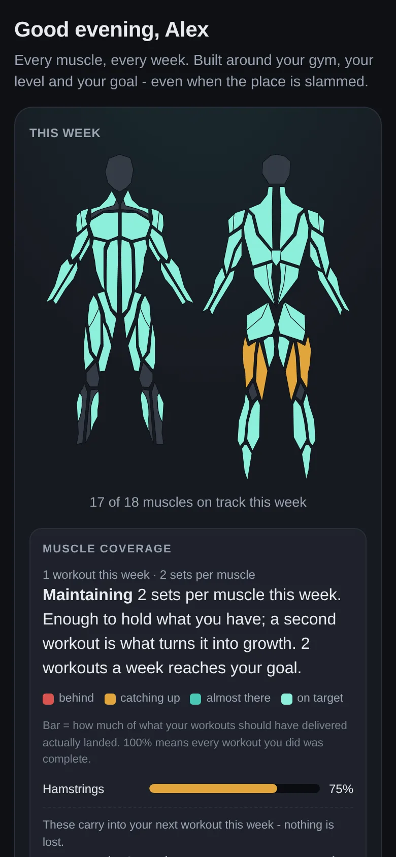 Full Coverage home screen with front and back muscle silhouettes coloured by this weekās coverage, a caption counting how many muscle groups are on track, and a per-muscle progress bar.