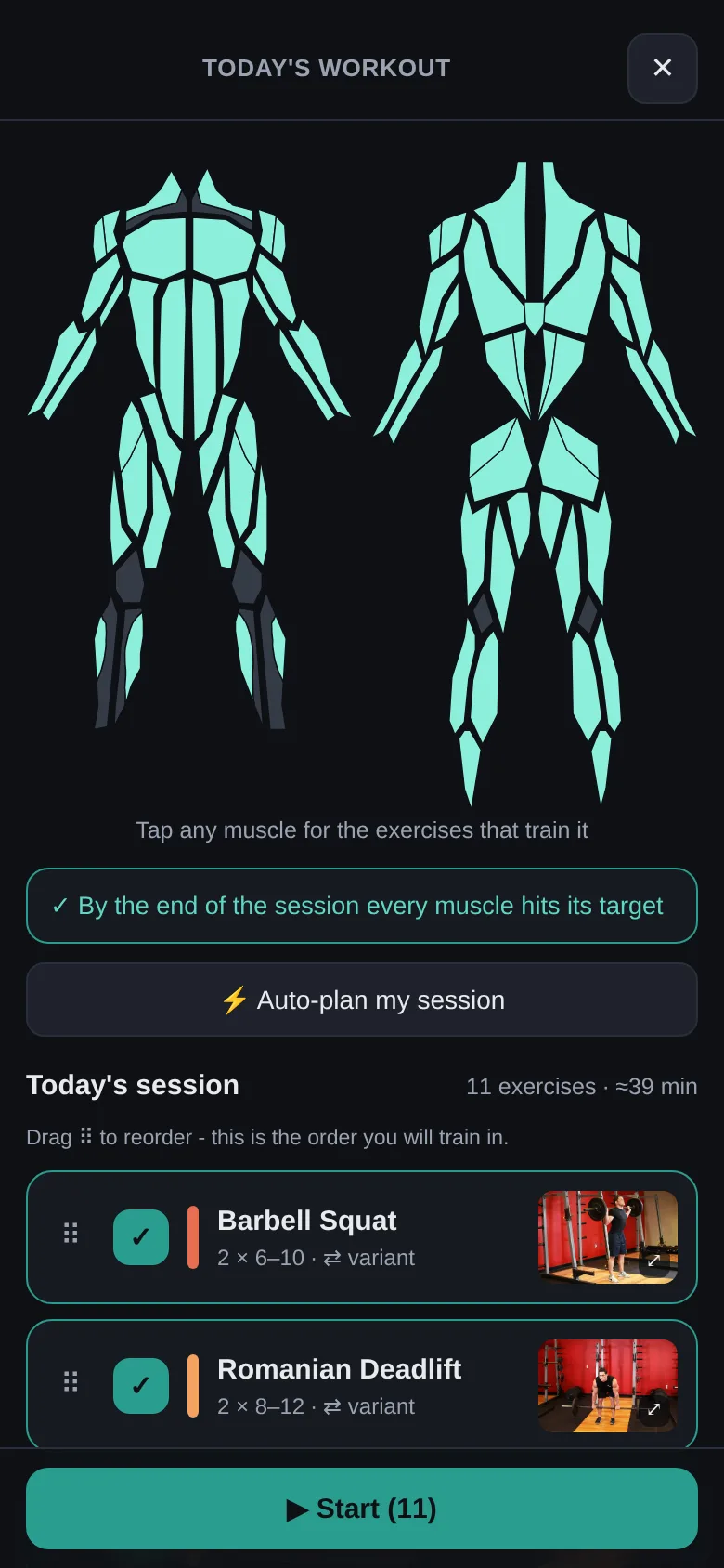 The pre-workout picker: today's session as a reorderable list with a drag handle on every row, tappable front and back muscle maps above it, and the session's estimated length