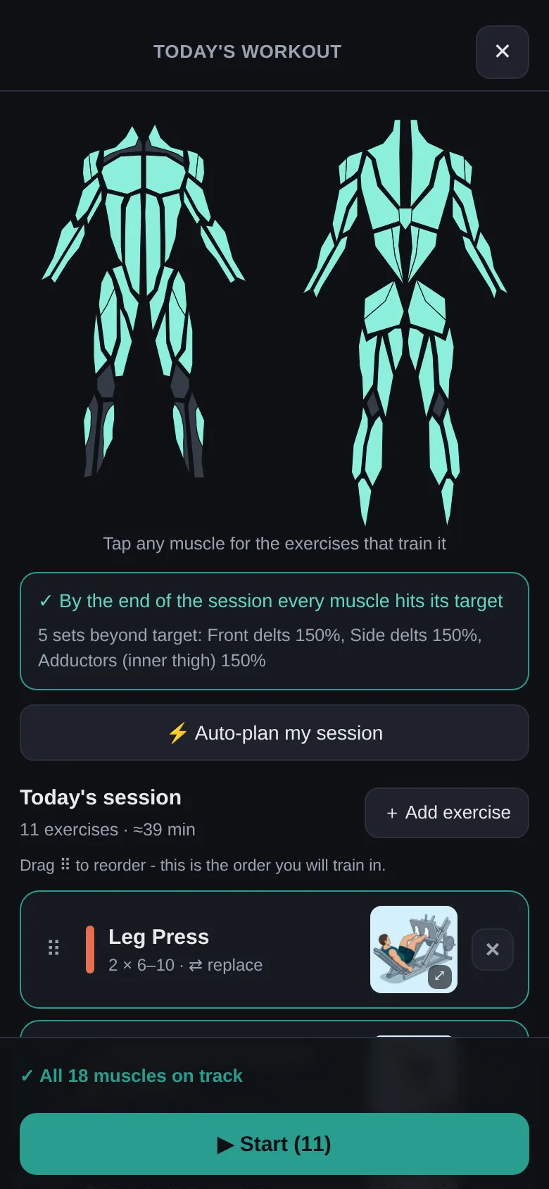 The pre-workout picker: today's session as a reorderable list with a drag handle on every row, tappable front and back muscle maps above it, and the session's estimated length
